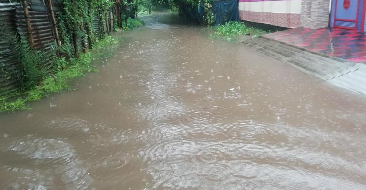 দখলে ড্রেন-বিল, বৃষ্টি হলেই শহরে হাঁটুপানি