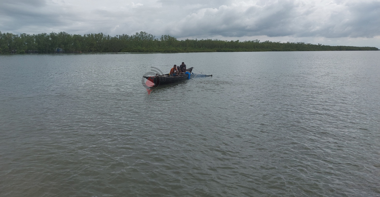 সুন্দরবনে বিষ চক্রের নতুন ফাঁদ শামুক পাচার