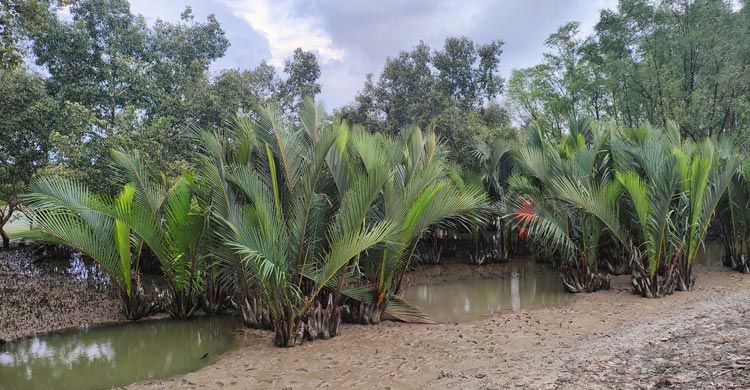 পর্যটনে অপার সম্ভাবনায়ও উপেক্ষিত সাতক্ষীরা