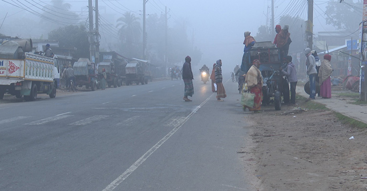 ৫০ বছরে সবচেয়ে তীব্র শীত সাতক্ষীরায়