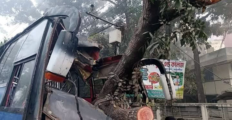 চালকের চোখে ঘুম হাতে স্টিয়ারিং, এরপর যা হলো