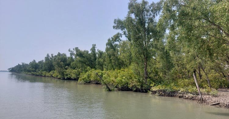 সাতক্ষীরায় শামুক-ঝিনুক ভর্তি নৌকা জব্দ