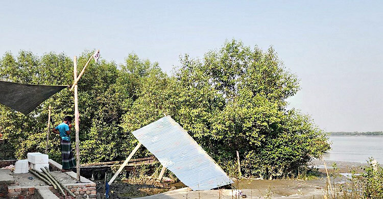 খোলপেটুয়া নদীর চরে গাছ কেটে ঘর নির্মাণের অভিযোগ