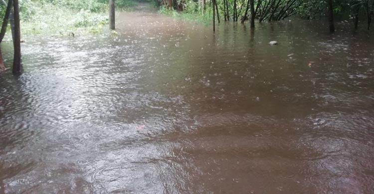 দখলে ড্রেন-বিল, বৃষ্টি হলেই শহরে হাঁটুপানি
