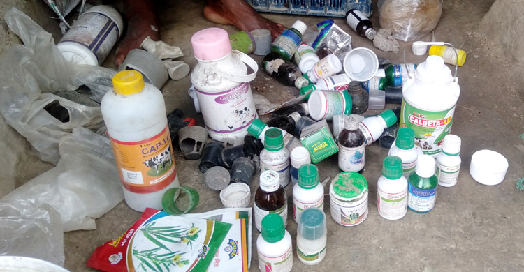 কীটনাশক ব্যবহারে অসুস্থ, চিকিৎসায় লাখ টাকা পর্যন্ত ব্যয় কৃষকের