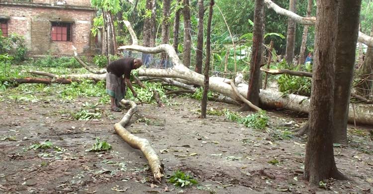 সাতক্ষীরায় শিলাবৃষ্টি-ঝড়ের তাণ্ডবে ব্যাপক ক্ষয়ক্ষতি