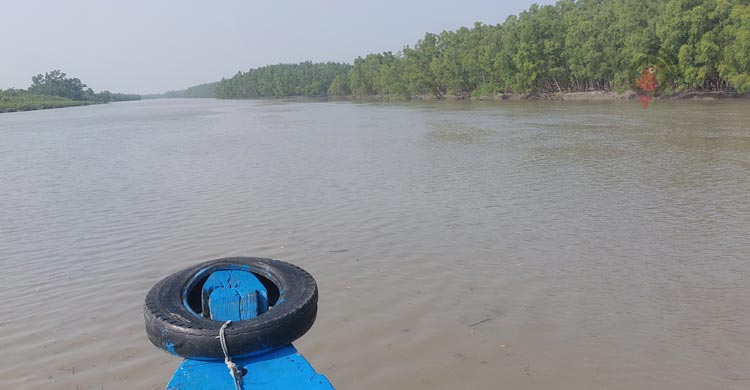 সুন্দরবনে তিন মাসের নিষেধাজ্ঞা, দুশ্চিন্তায় হাজারও বনজীবী