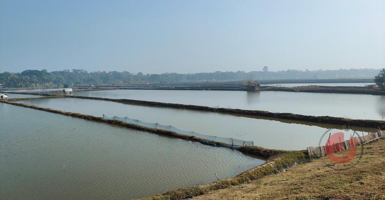 নির্বাচনি প্রতিশ্রুতি বনাম উপকূলের বাস্তবতা