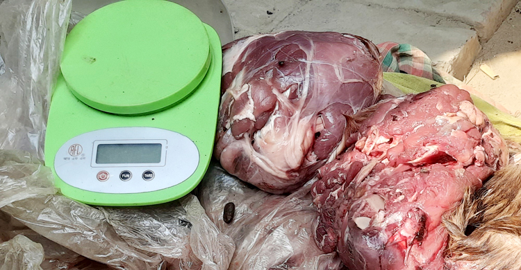 ৩০ কেজি হরিণের মাংসসহ দুই যুবক আটক