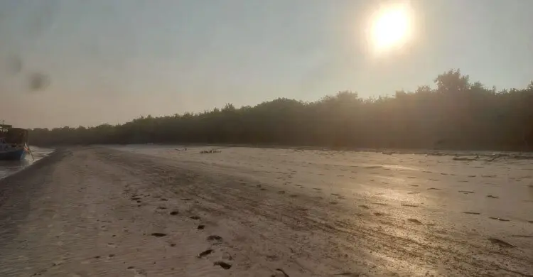 সুন্দরবনে ফের দুই বনজীবী অপহরণ