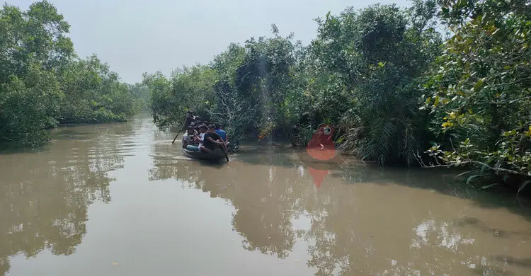 পর্যটন মৌসুমে নির্জন সুন্দরবন, সাতক্ষীরা রেঞ্জে শুধুই হতাশা