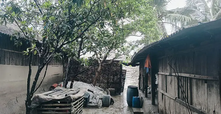 উপকূলে লবণের কাছে হার মানছে আম-কাঁঠাল