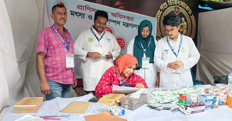ঢাকার কোরবানির হাটগুলোতে ভেটেরিনারি সেবা দিচ্ছেন শেকৃবি শিক্ষার্থীরা