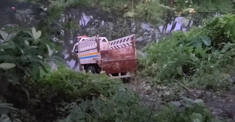 ধামরাইয়ে গাছে ধাক্কা দিয়ে পুকুরে পিকআপ, চালকসহ নিহত ২