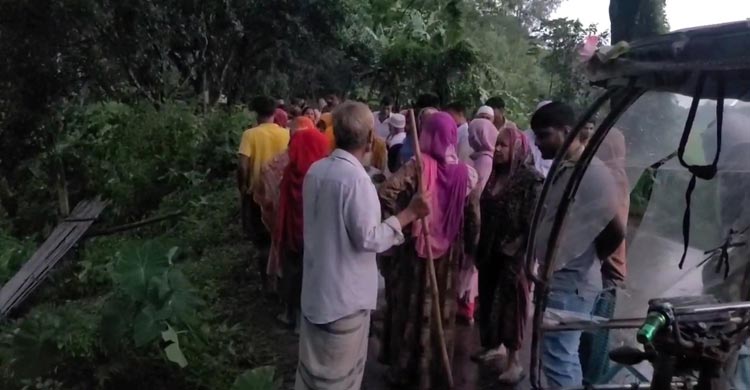 ধামরাইয়ে গাছে ধাক্কা দিয়ে পুকুরে পিকআপ, চালকসহ নিহত ২