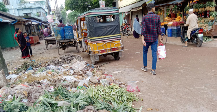 ময়লার শহর সাতক্ষীরা!