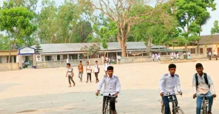 স্কুলের মাঠ দখল করে পশুর হাট, নষ্ট হচ্ছে শিক্ষার পরিবেশ