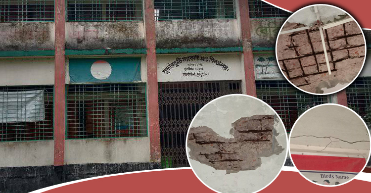 খসে পড়ছে ছাদের পলেস্তারা, তবুও চলছে ক্লাস