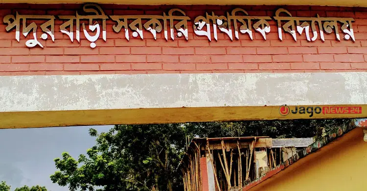 প্রাথমিক বিদ্যালয়ে কমছে শিক্ষার্থী, বাড়ছে মাদরাসা-কিন্ডারগার্টেনে