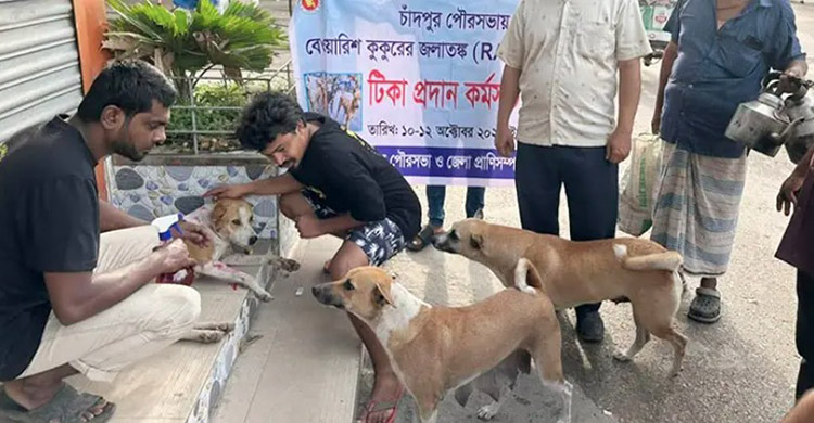হাসপাতালগুলোতে জলাতঙ্কের টিকার সংকট, বিপাকে রোগীরা