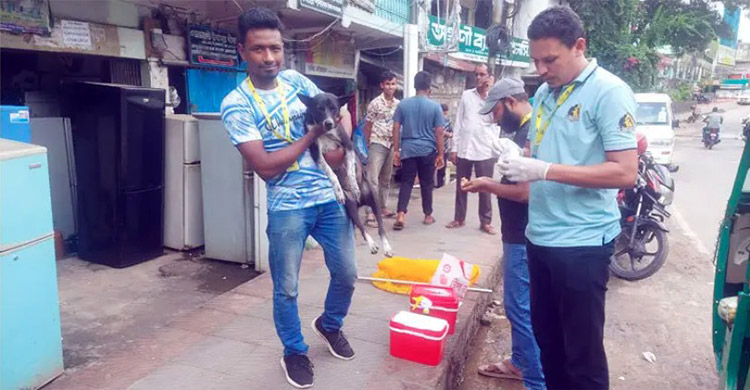 হাসপাতালগুলোতে জলাতঙ্কের টিকার সংকট, বিপাকে রোগীরা