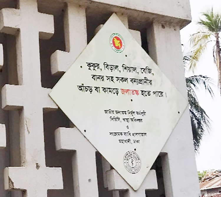 হাসপাতালগুলোতে জলাতঙ্কের টিকার সংকট, বিপাকে রোগীরা