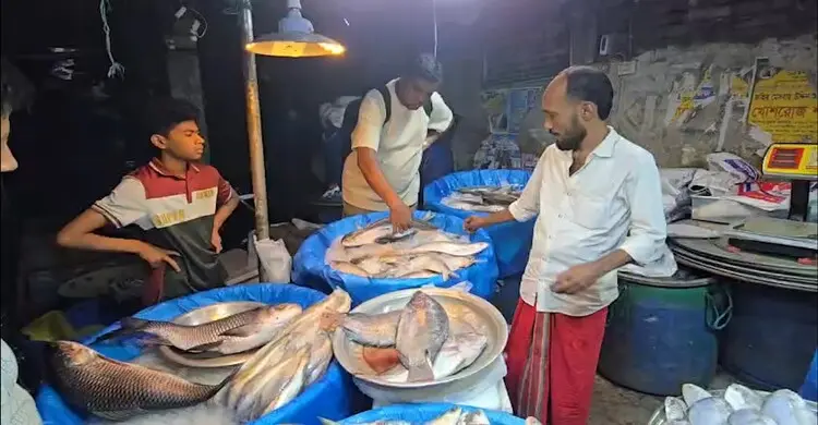 বৈশাখে ইলিশের আকাশছোঁয়া দাম, বাজারে সংকট