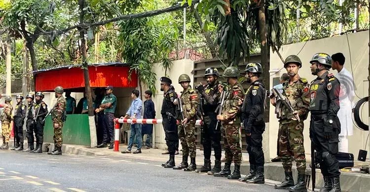 ফিরোজা আজ ফাঁকা নয়, স্মৃতিতে পরিপূর্ণ