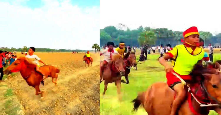 নড়াইলে গ্রামবাংলার ঐতিহ্যবাহী ঘোড়দৌড়