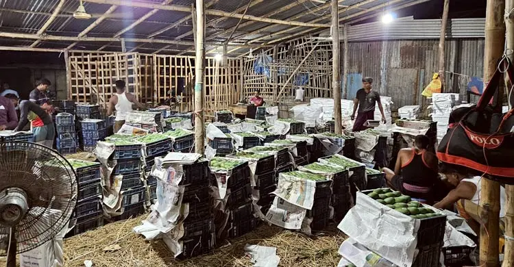 অনলাইনে বাড়ছে ফল বিক্রির জনপ্রিয়তা, বাড়ছে কর্মসংস্থান