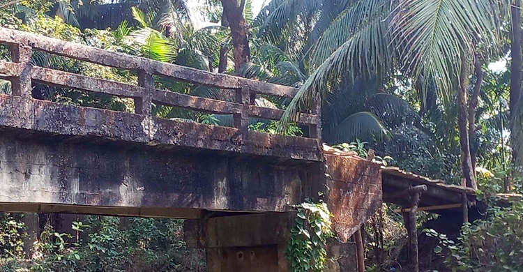 সেতু পারাপারে কাঠের সাঁকো!