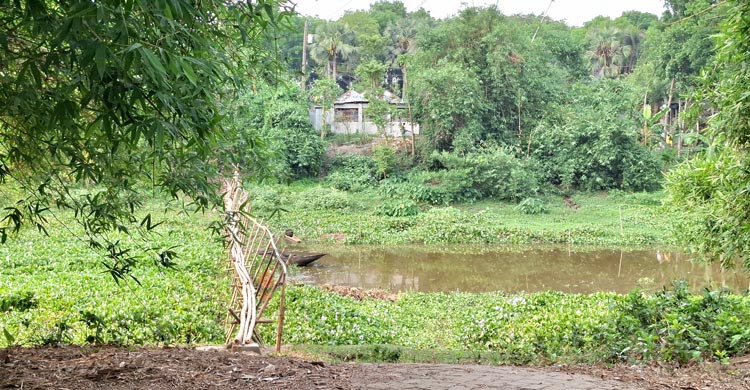 ঝিনাইদহের মহেশপুর উপজেলার সীমান্তবর্তী নদী ইছামতি। ভারত ও বাংলাদেশকে পৃথক করেছে এই নদী