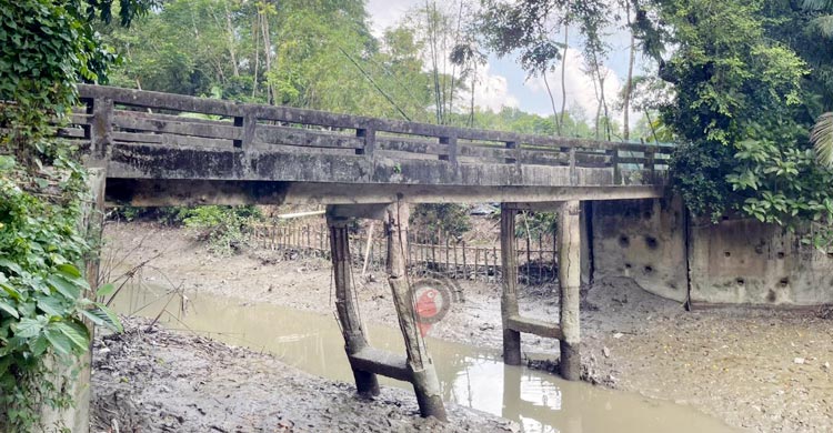 পিলার ভেঙে ঝুঁকিতে সেতু, আতঙ্কে ১০ হাজার মানুষ