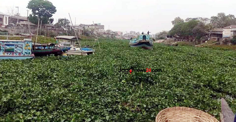 সেতুর অভাবে যুগ যুগ ধরে দুর্ভোগ আলোকবালীবাসীর