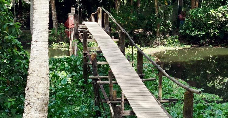 ১০ গ্রামের মানুষের ভরসা নড়বড়ে কাঠের সাঁকো