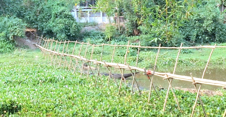 ঝিনাইদহের মহেশপুর উপজেলার সীমান্তবর্তী নদী ইছামতি। ভারত ও বাংলাদেশকে পৃথক করেছে এই নদী