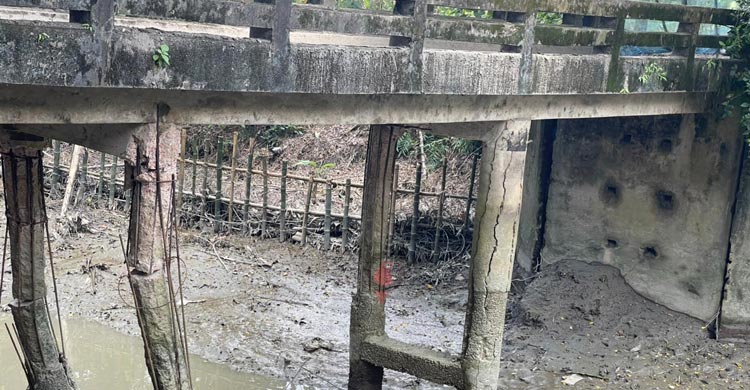 পিলার ভেঙে ঝুঁকিতে সেতু, আতঙ্কে ১০ হাজার মানুষ