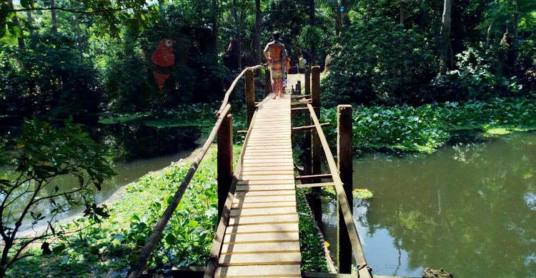 ১০ গ্রামের মানুষের ভরসা নড়বড়ে কাঠের সাঁকো