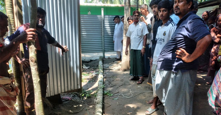 সুপারি গাছ কাটাই কাল হলো জাহাঙ্গীরের