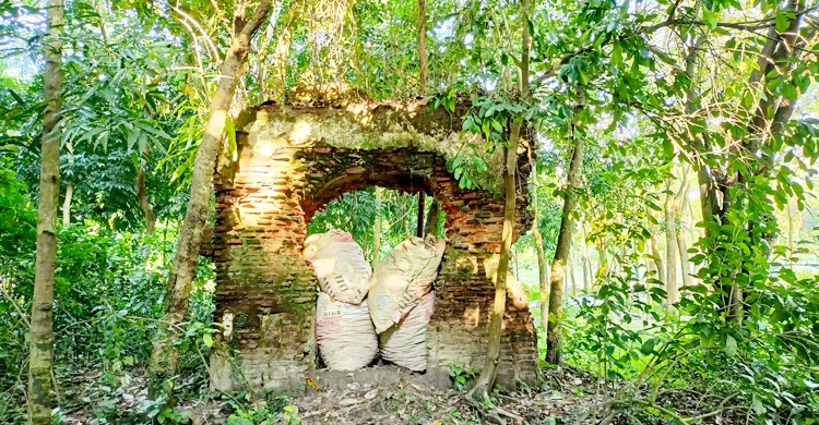 ক্ষয়ে কঙ্কালসার মানসিংহের বিজয় তোরণ