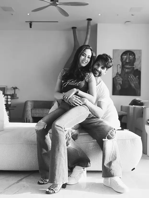 Shahid Kapoor and Mira Kapoor's Interior Design