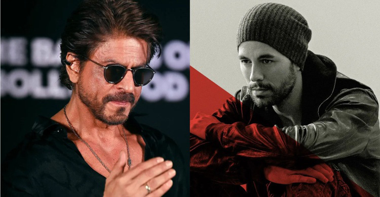 ২০ বছর পর ভারত আসছেন পপ তারকা এনরিক, চান শাহরুখের সাক্ষাৎ