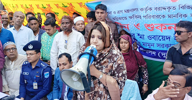 ভিসা কার্যক্রম স্বাভাবিক করতে ভারত ইতিবাচক: পররাষ্ট্র প্রতিমন্ত্রী