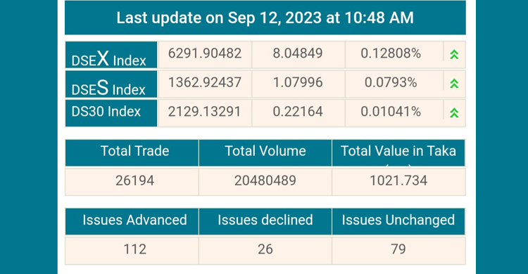 শেয়ারবাজারে লেনদেনের শুরুতেই বিমার দাপট