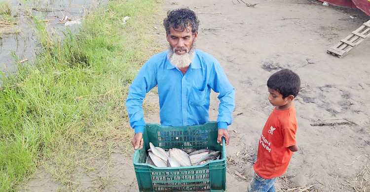 ভরা মৌসুমেও পদ্মা-মেঘনায় ইলিশের আকাল