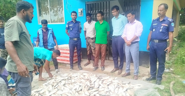 যৌথ বাহিনীর অভিযানে ৪০০ কেজি ইলিশসহ ৩ ট্রলার জব্দ