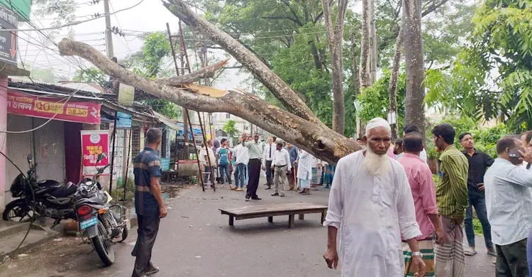 অতিবৃষ্টিতে গাছ উপরে পড়ে যানচলাচল বন্ধ
