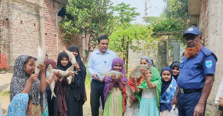 প্রাইভেটকার থেকে জব্দ ৪০ কেজি ইলিশ গেলো মাদরাসায়