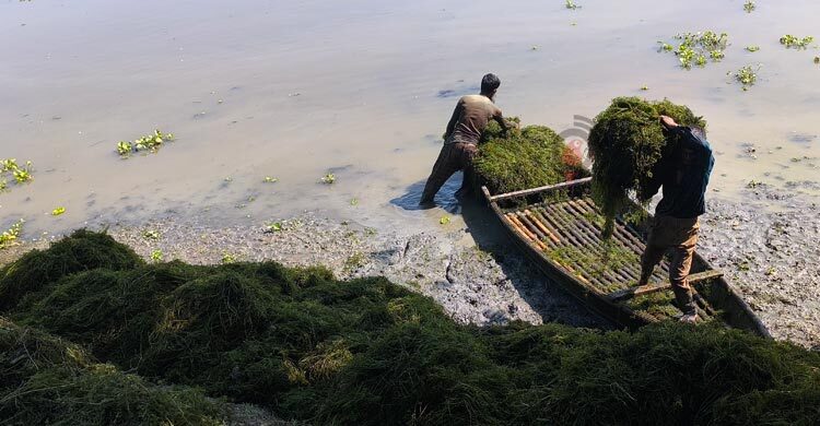 জঞ্জালই এখন আয়ের উৎস