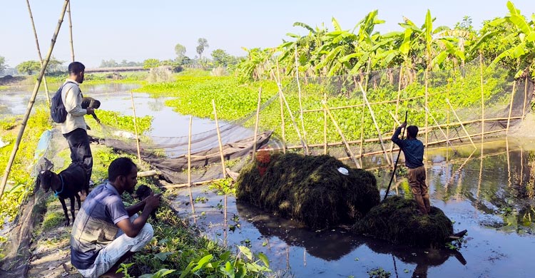 জঞ্জালই এখন আয়ের উৎস